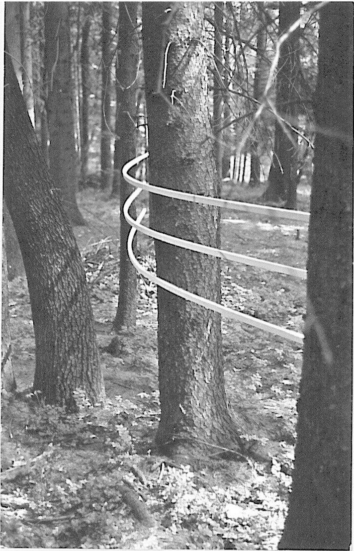 OHO Group. “Summer Projects,” installation with wooden sticks in the forest. 1969.